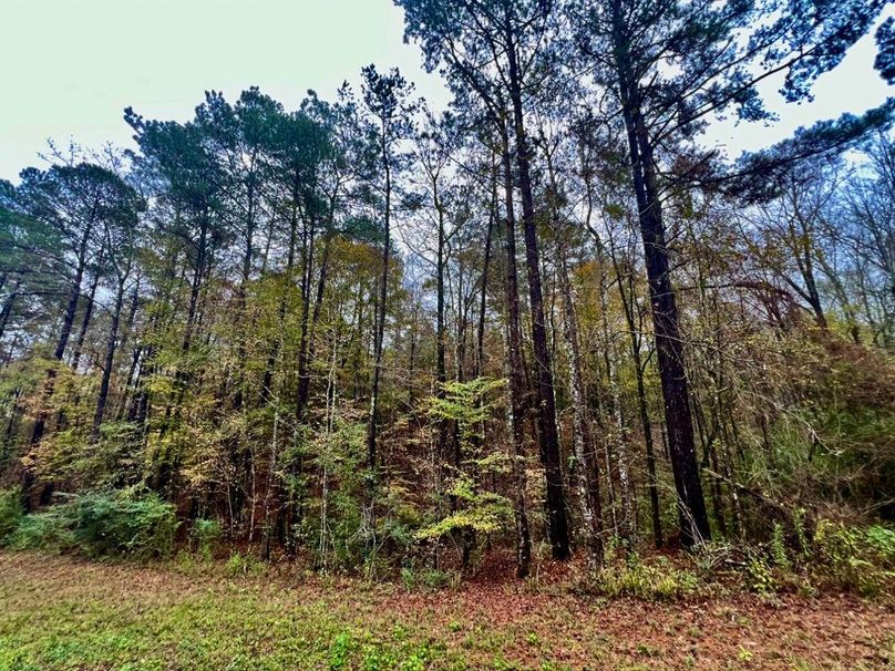 8735D5F1-CBB5-4B25-A25C-474614ED9687_1_201_a