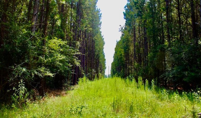 F064E971-2D65-4E9D-ABE0-7C16EBAA0398_1_105_c