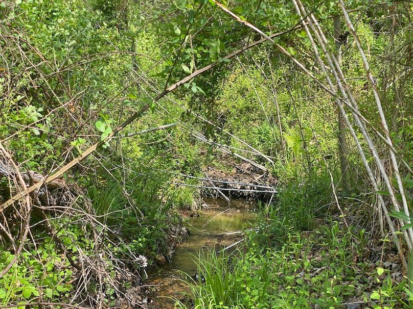 013 the seasonal stream flowing south down the valley copy