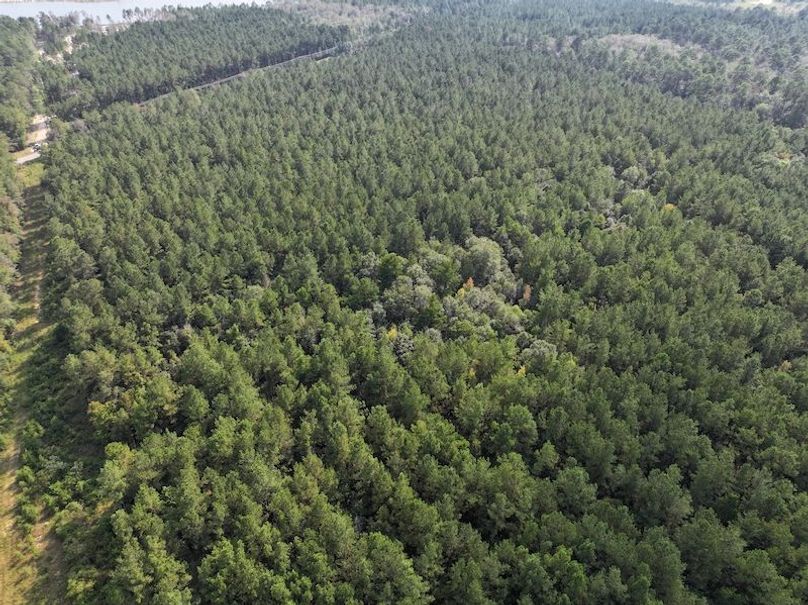 dji_fly_20250915_161350_0487_1758029007238_photo