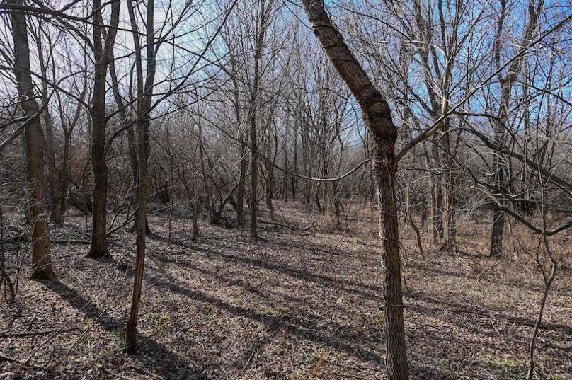 vandalia 450 (2)-1694