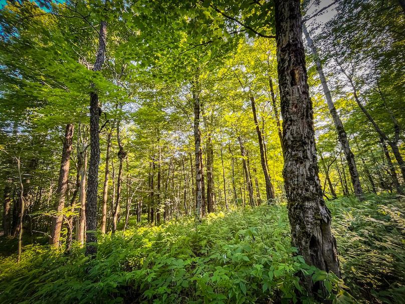 Jefferson_53.29_Johnson_Photos_40