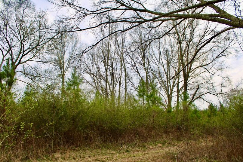 EBE9C225-3AF5-4C77-B32B-9071E73CA3F0_1_105_c