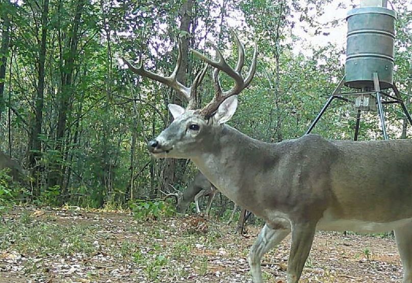 Screenshot 2026-03-06 at 2.16.24 PM