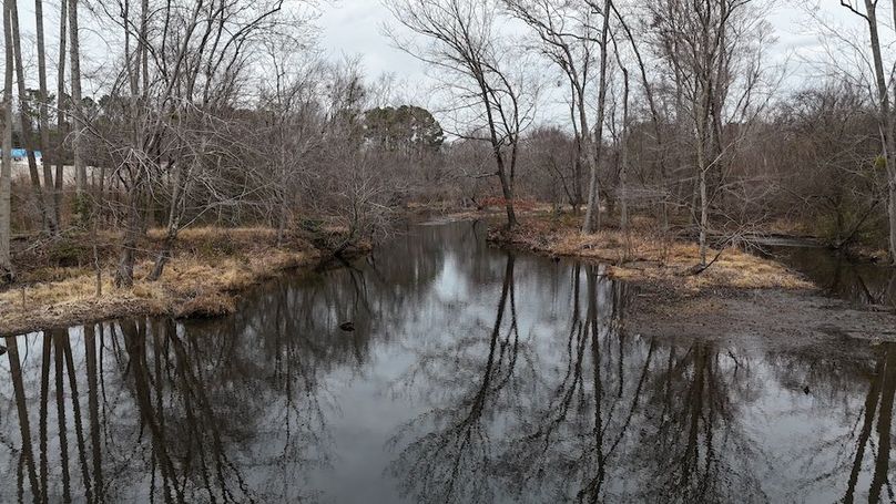 dji_fly_20260218_164640_0036_1771452054779_photo