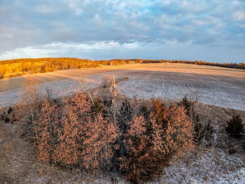 DJI_20260117075356_0627_D