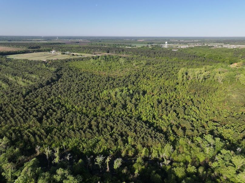 DJI_20250417073557_0027_D