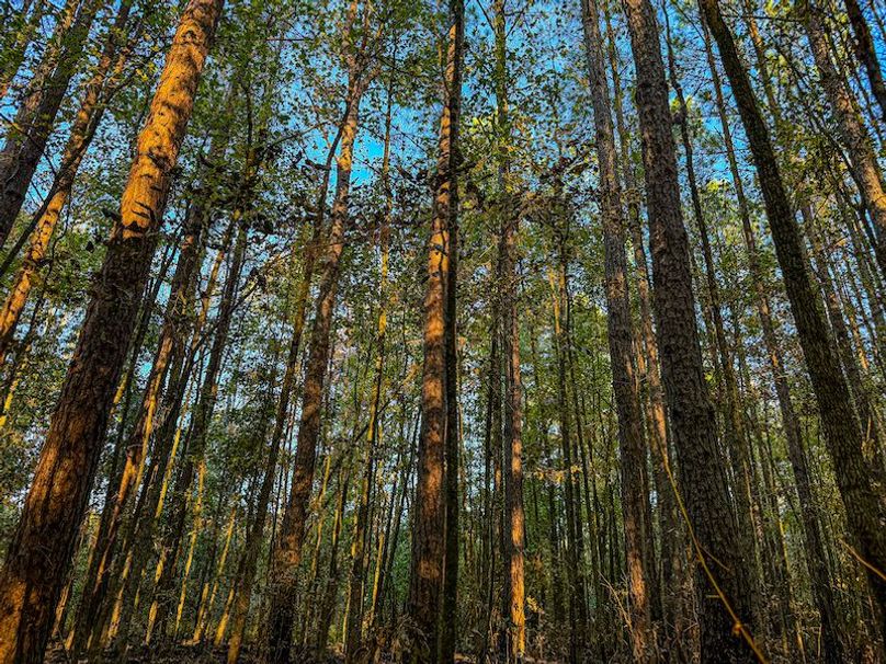 Clay 302.7 Henderson-12