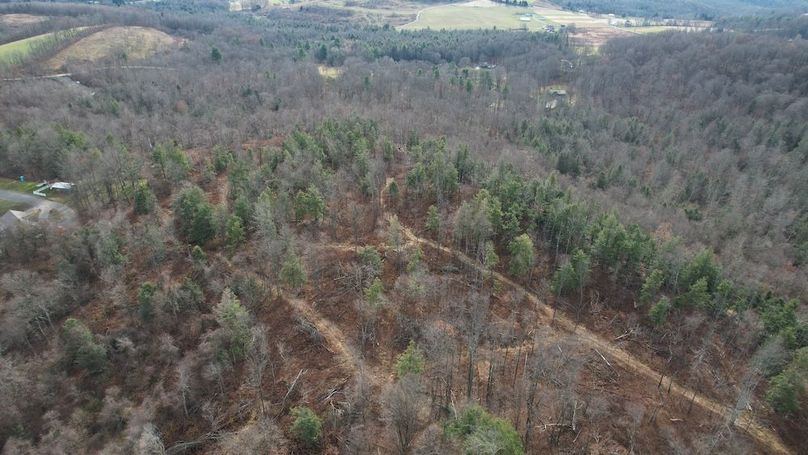 dji_fly_20251124_130746_22_1764007924672_photo