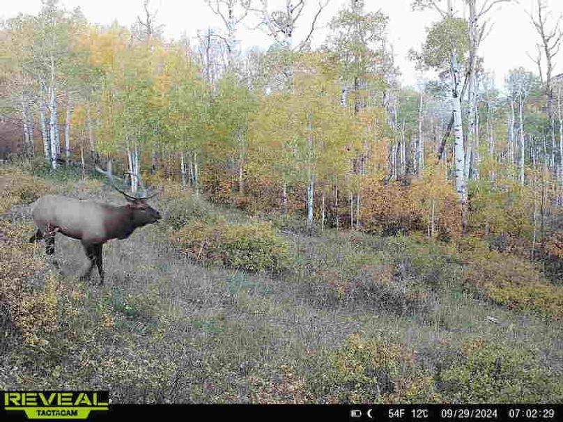 Copy of 864049052055672-30-4-09292024070228-HD-W1001280 (1)