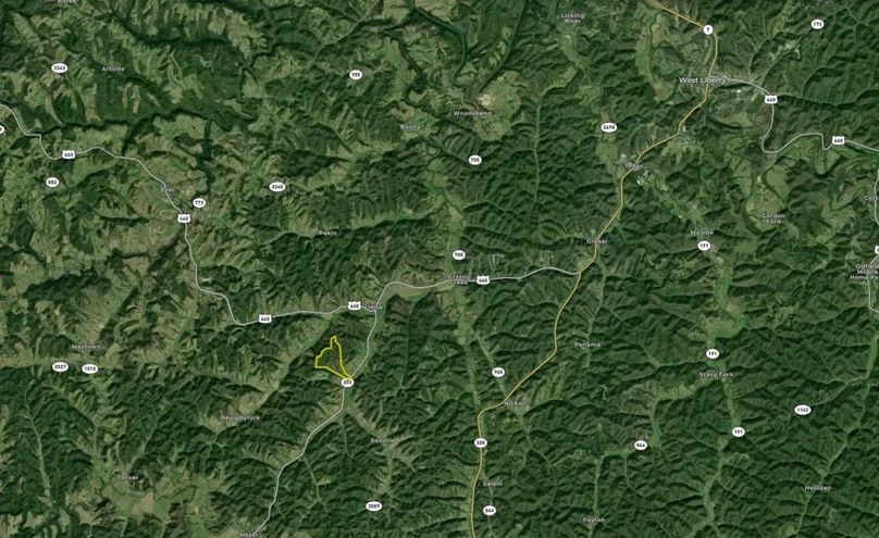 048 Morgan 130 Land ID zoomed out