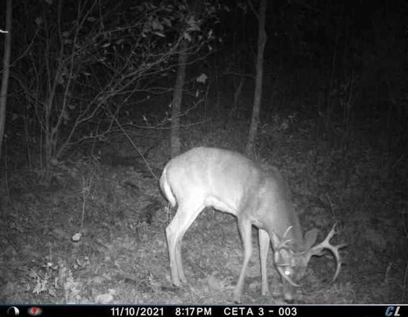 6EFA63F9-6324-451D-A053-C9BB29057CDD