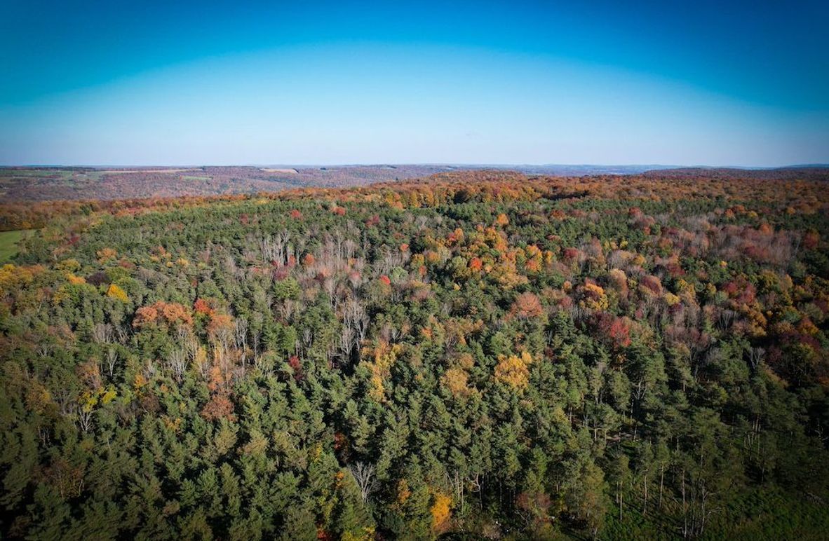 Cayuga_136_Clark_Photos_4