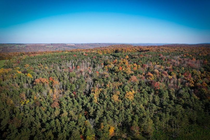 Cayuga_136_Clark_Photos_4