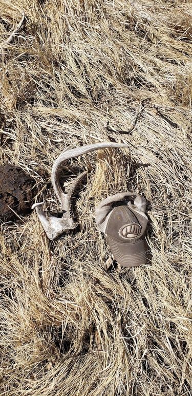 Copy of 20210318_122636