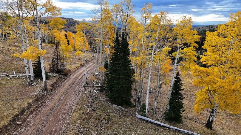 DJI_20250927082711_0031_D