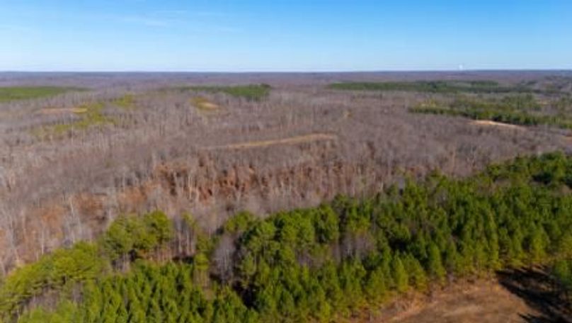 mckinnon tract 14-18