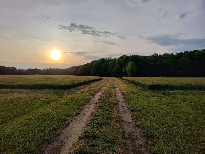 IMG_20260424_190636375_HDR