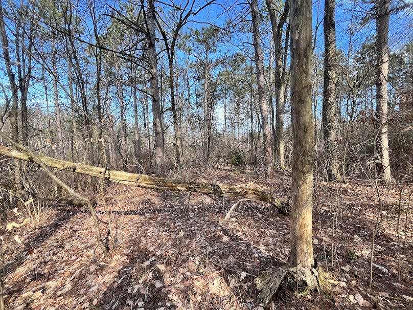 Jefferson_10.4_Somberg Lot 4&5 Photo 7