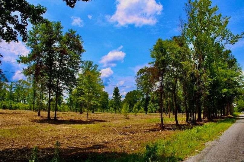 FD1656B7-C56C-441F-8A11-C946CE07DA8D_1_105_c