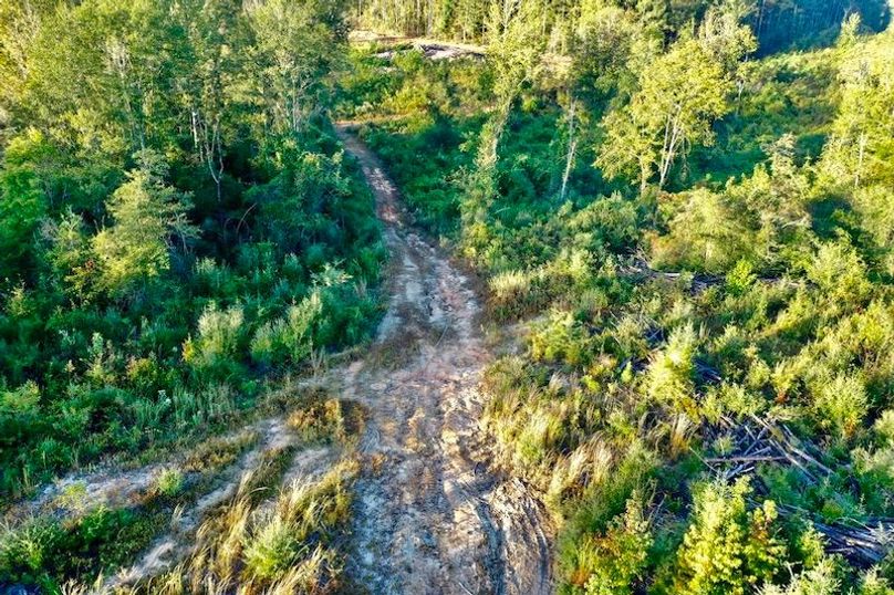 80C407A2-18F7-463F-AB84-8C438680CB43_1_105_c