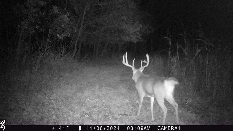 Sauk 174 Trailcam - 20