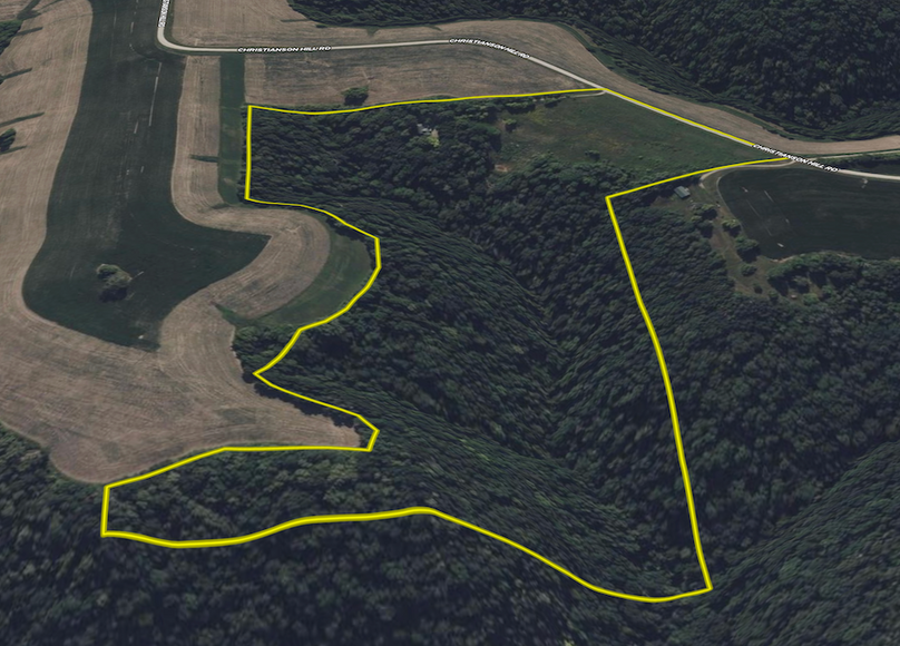 Screenshot 2025-08-17 at 3.08.14 PM