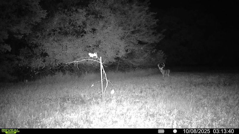 016579000173638-76-4-10082025031340-v-syfw08669