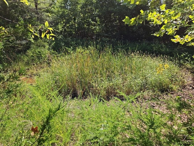 DJI_20240808_103408_137