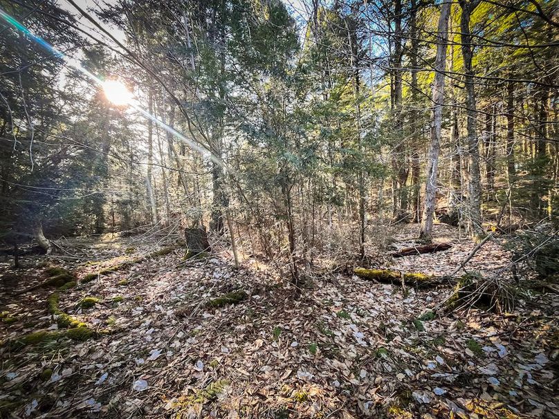 Oswego_17.88_Feld_Photos_72