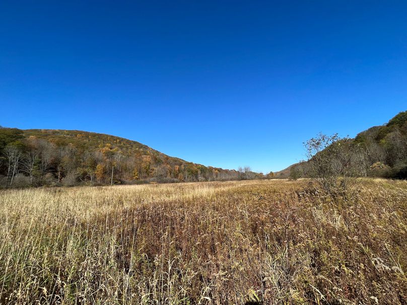 Schuyler_25.155_Ennis_Photos_11