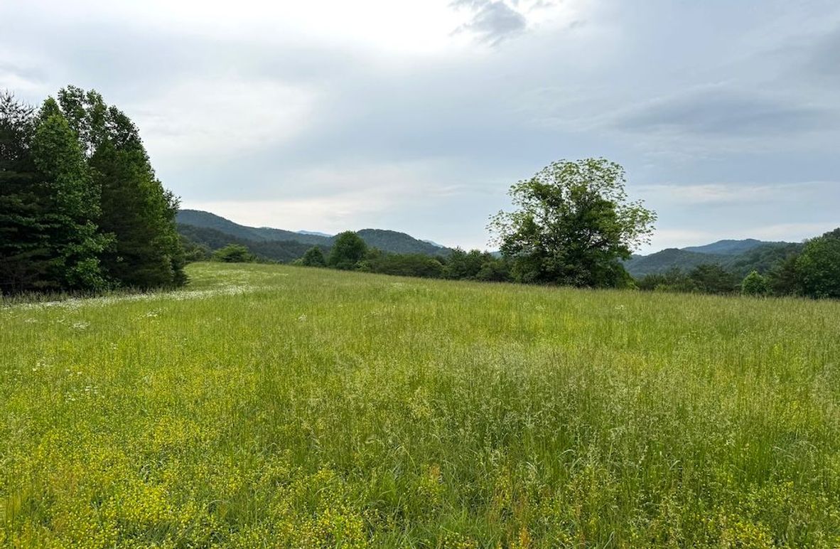 _Main Pic 15 AC IMG_1295