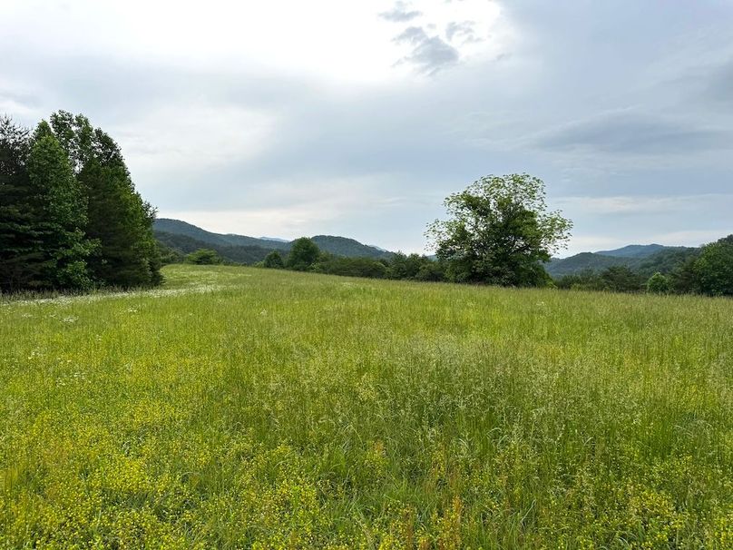 _Main Pic 15 AC IMG_1295