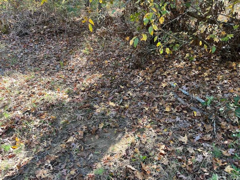 jeff 5020251111_0332