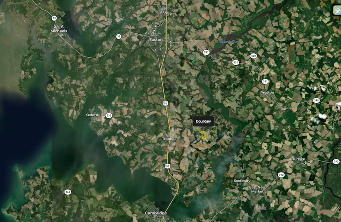 Screenshot 2026-02-12 at 3.00.45 PM