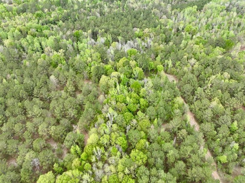 dji_fly_20260330_151824_446_1774898605259_photo