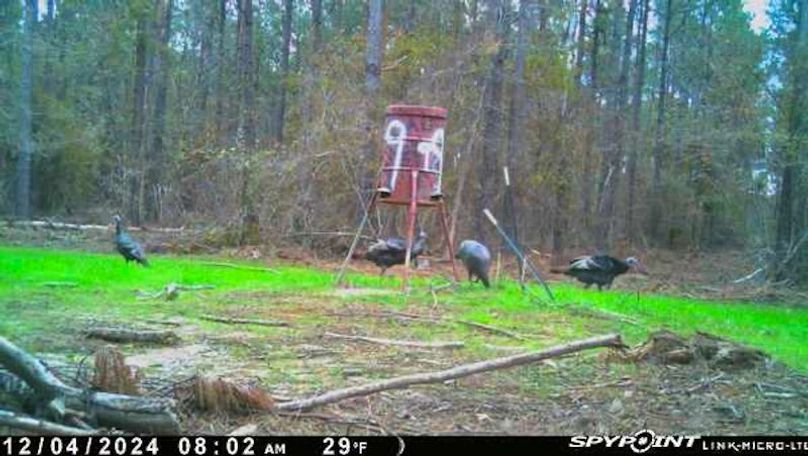 Ashley Co-40-Givens-46