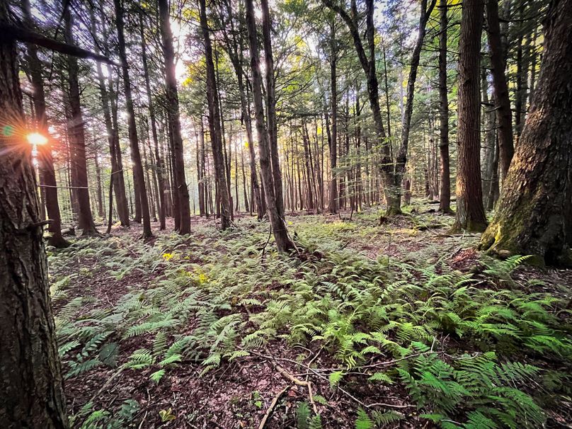 Oswego_30_RouselandInvestments_LLC_Photos_6