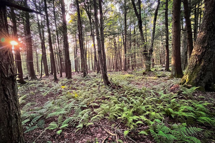 Oswego_30_RouselandInvestments_LLC_Photos_6