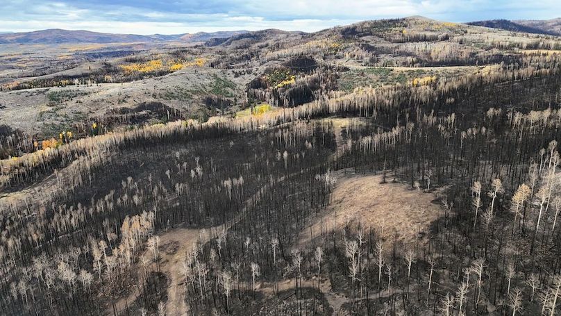 DJI_20250927082306_0016_D