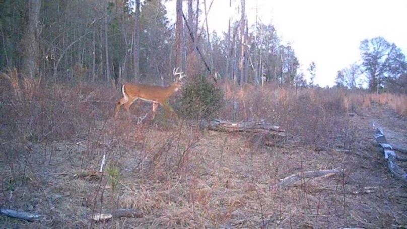 24012118031301011422