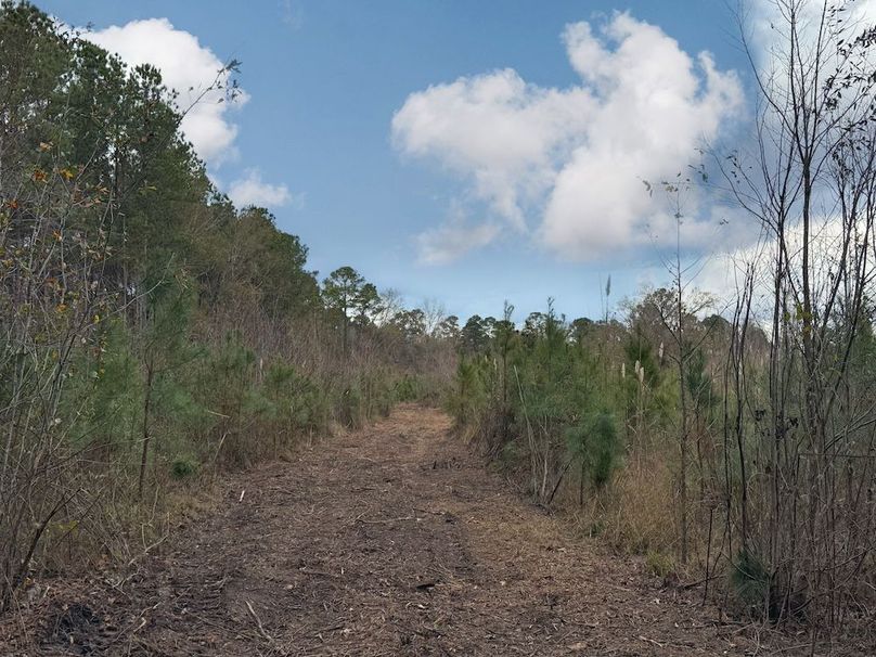 944B72F4-1B32-435E-B16F-4F1DF0045A31