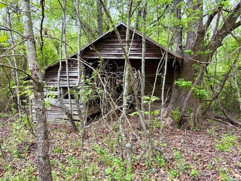 CA1331F7-42A4-4184-A154-A07EB0C3BBB0_1_105_c