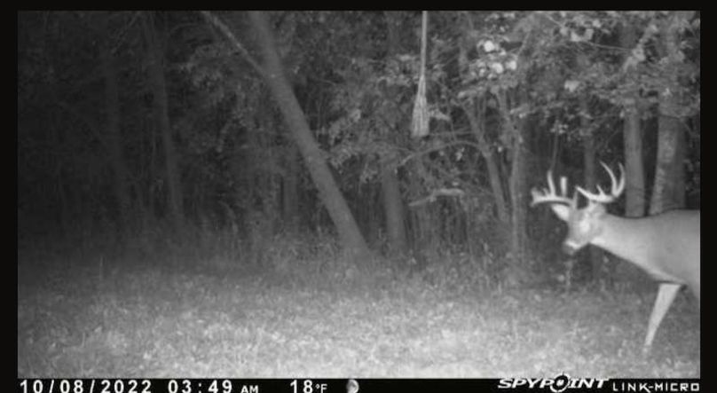 Screenshot_20221008-073654_SPYPOINT