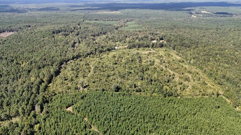 DJI_20250924040529_0756_D