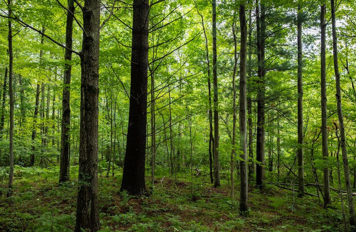 Oceana 80 132nd Ave-6