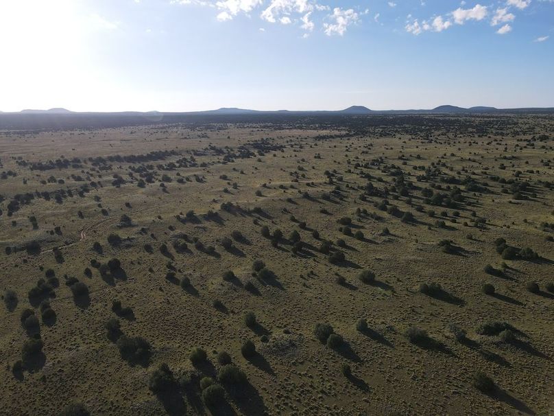 dji_fly_20240816_074900_509_1723816160491_photo