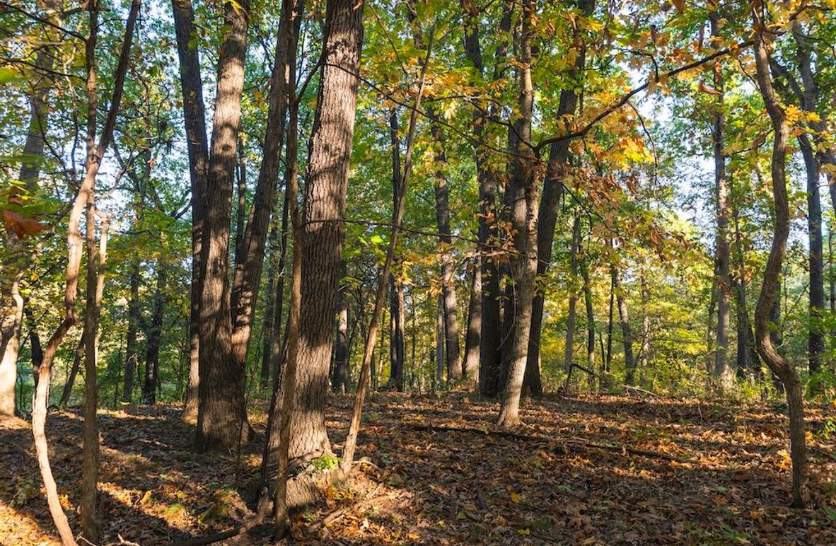 Copy of A1W08300-HDR