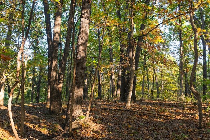 Copy of A1W08300-HDR