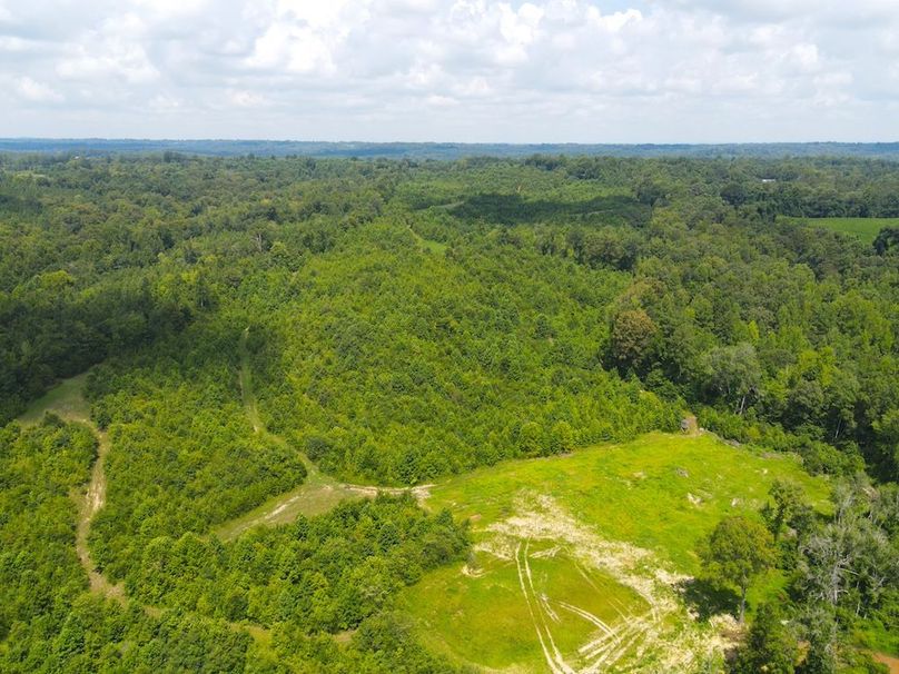 dji_fly_20250729_120010_741_1753804875109_photo